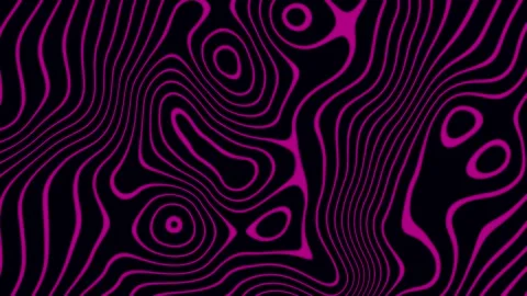 Seamless loop magenta topographic lines flowing on dark black background Stock Footage 348271885