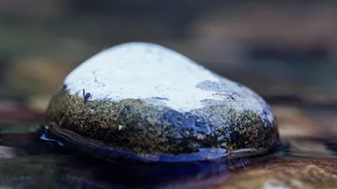 Seamless loop of moss covered stone in flowing river Stock Footage 345729588