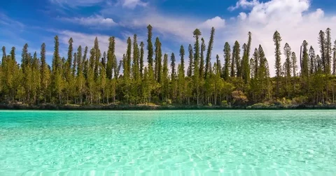 Seamless loop, Natural pool of Oro Bay in the Isle of Pines, New Caledonia Stock Footage 75653419
