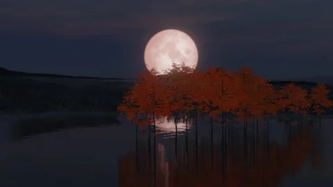Seamless loop Night landscape of nature at full moon with lake and trees with Stock Footage 226784574