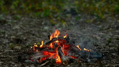Seamless loop of an outdoor campfire on the ground in nature Stock Footage 343216844