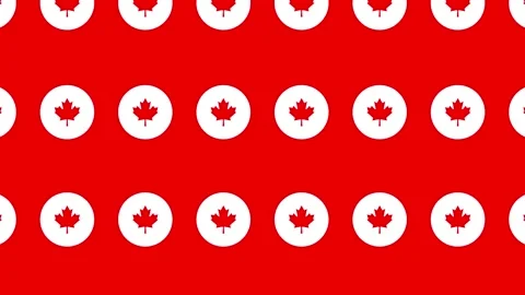 A seamless loop pattern of circle maple icon on a red background Stockbeeldmateriaal 286755019