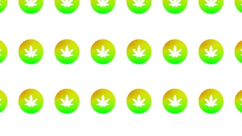 A seamless loop pattern of gradient cannabis leaves on a white background Stock Footage 284905625