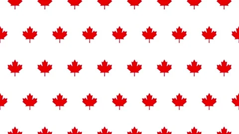 Seamless loop pattern of maple icons on a white background Stock Footage 286757462