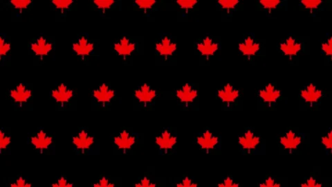 Seamless loop pattern of maple icons on a black background Video stock 286757470