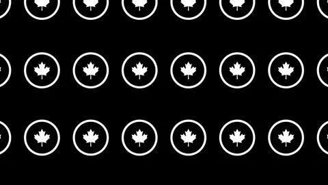 A seamless loop pattern of white outlined maple icon on a black background Stockbeeldmateriaal 286755018