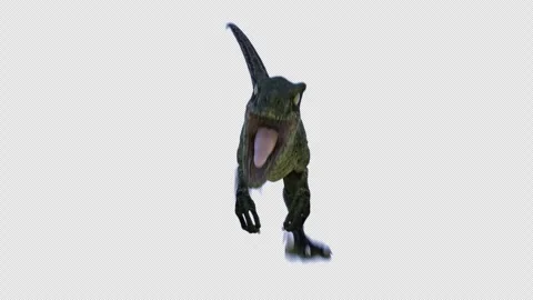 Seamless Loop Realistic Raptor Dinosaur on a Transparent Background. Stock Footage 263383322