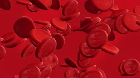 Seamless loop. Red blood cells erythrocytes flow on red background. Healthy cell Stock Footage 194528877