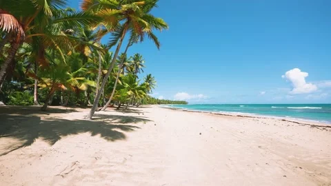 Seamless loop of sea turquoise waves on Bahama beach.  Stock-Footage 221304249
