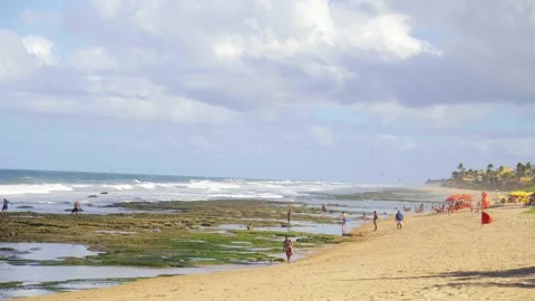 Seamless loop of sea waves on golden sand beach. Palm trees, blue sea and pure  Vidéo 318244673