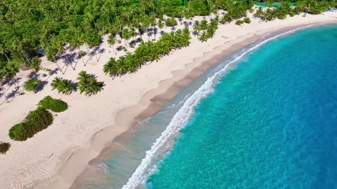 Seamless loop of sea waves on white Hawaiian sand beach, aerial view. Stock Footage 327833352