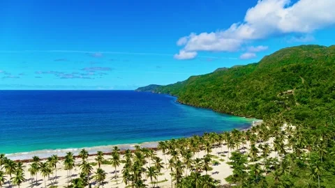 Seamless loop of sea waves on white Hawaiian sand beach. 動画素材 333555438