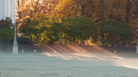 Seamless loop serene morning scene with sunlight filtering through trees, c.. Stock Footage 319918759