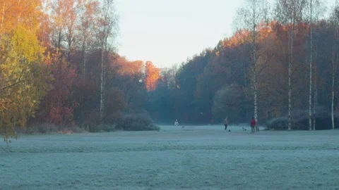 Seamless loop serene winter landscape with frost-covered grass, trees with .. Stock Footage 319919735