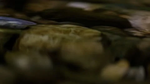 Seamless loop of shadowy river stones underwater macro Stock Footage 345729594