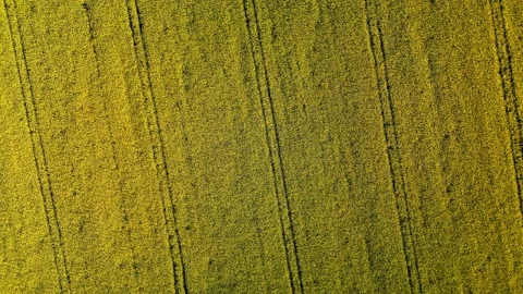 Seamless Loop Side Flying Over Flowery R... | Stock Video | Pond5
