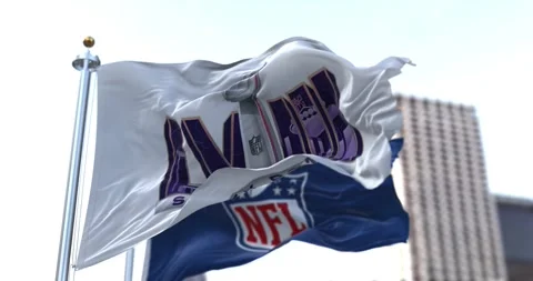 Seamless loop in slow motion of 58th Super Bowl and NFL flags waving in the.. Stock Footage 244459681