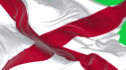 Seamless loop in slow motion of Alabama waving in the wind isolated on a gr.. Stock Footage 249878425