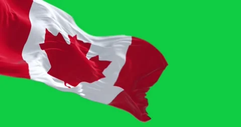 Seamless loop in slow motion of Canada national flag waving on a clear day Stock-Footage 246544157