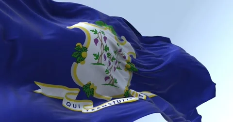 Seamless loop in slow motion of Connecticut state flag fluttering Stock-Footage 243276803