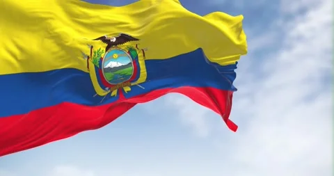 Seamless loop in slow motion of Ecuador national flag waving in the wind Stock Footage 239421957