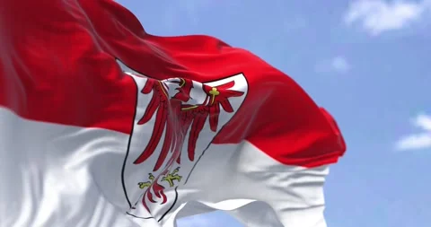 Seamless loop in slow motion with the flag of Brandenburg waving in the wind Stock-Footage 196010809