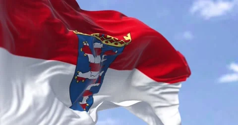 Seamless loop in slow motion with the flag of Hesse waving in the wind Stock Footage 196184474