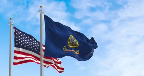 Seamless loop in slow motion of Idaho and US flags waving on a clear day Video stock 237158959