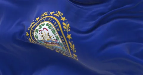 Seamless loop in slow motion of New Hampshire state flag waving Stock-Footage 237514212