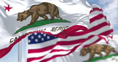 Seamless loop in slow motion with two flags of the California state waving Stock Footage 196184801