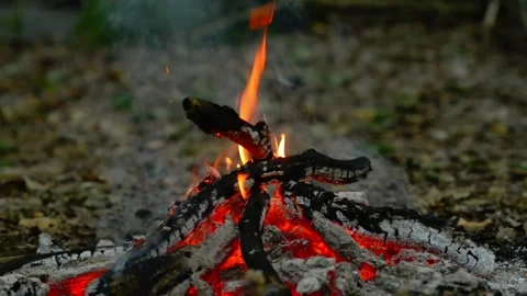 Seamless loop of a small campfire burning on the forest ground Vídeos de archivo 343216607