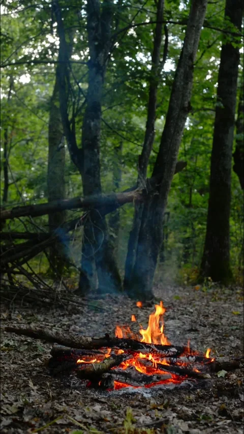 Seamless loop of a small campfire burning among forest trees Video stock 343216732