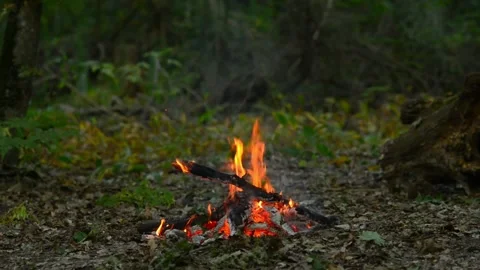 Seamless loop of a small campfire burning in the wild forest Stock-Footage 343216838