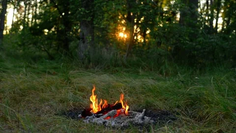 Seamless loop of a small campfire in a sunny forest clearing Video stock 343216650
