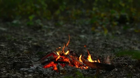 Seamless loop of a small campfire in a wild green forest Stock-Footage 343215918
