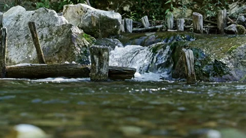 Seamless loop of small rapids over rocks and wooden posts Vidéo 345729408