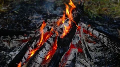 Seamless loop of smoldering wood and glowing hot campfire embers Vídeos de archivo 343216674