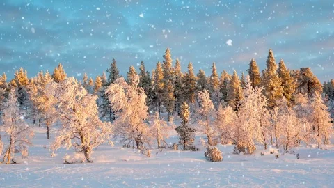 Seamless loop - Snow falling on a snowy winter forest landscape, Saariselka, Stock Footage 81655431