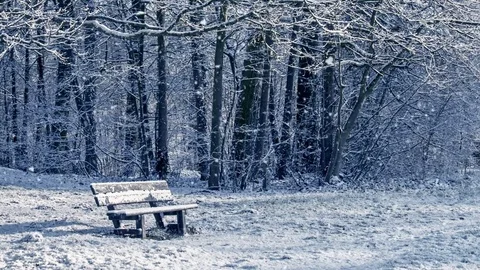 Seamless loop - Snowing on a bench in a forest, winter scene, video HD Stock Footage