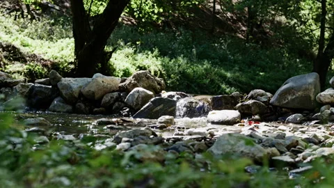 Seamless loop of stone weir on Gradac river in forest Stock Footage 345730864