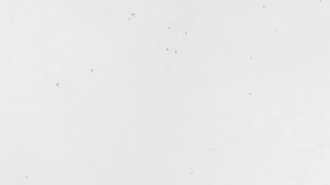 Seamless Loop Stop Motion White Grunge Texture Overlay Animation Stock Footage 311108398