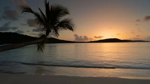 Seamless loop of tropical beach sunset with palm tree in Caribbean Stock Footage