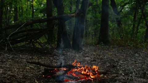 Seamless loop of a vibrant campfire burning in a wild forest Stock-Footage 343216694
