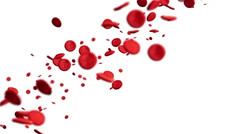 Seamless loop video of Inside Blood Vessel. Close up blood Stream on white bg Video stock 202042387