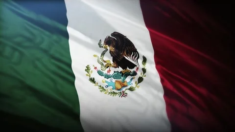 Seamless loop video of the Mexican flag waving with coat of arms on fabric under Video stock 329013137