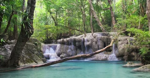 Seamless Loop Video of Wild Rain Forest Waterfall in Tropical Jungle of Thailand Stock Footage 51022415