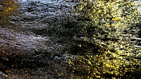 Seamless loop of warning light reflection on wet street Stock Footage 90507823