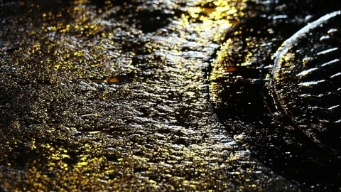 Seamless loop of warning light reflection on wet street Video stock 90508664