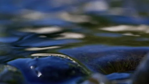 Seamless loop of water flowing over smooth river stone Stock Footage 345729423