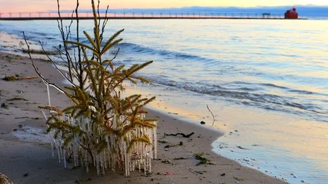 Seamless loop of waves on shoreline, ice coated branches on tiny pine tree. 스톡 동영상 121381765